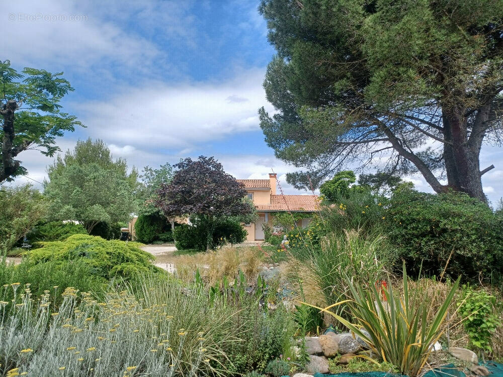 Maison à PLAISANCE-DU-TOUCH
