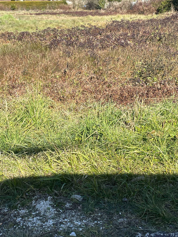 Terrain à LUDON-MEDOC