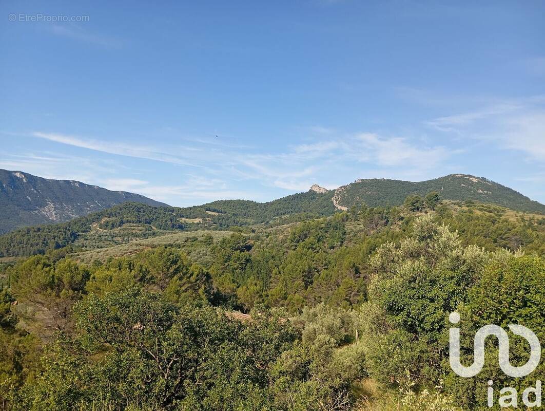 Photo 1 - Terrain à BUIS-LES-BARONNIES