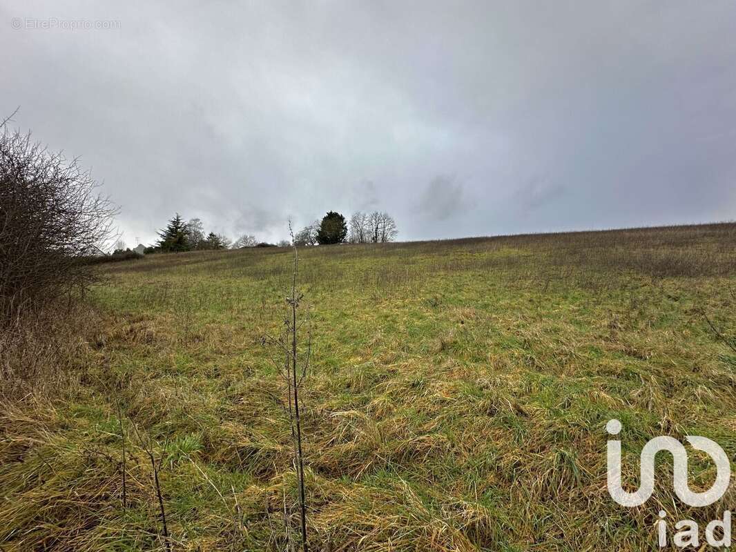 Photo 3 - Terrain à COURTENAY