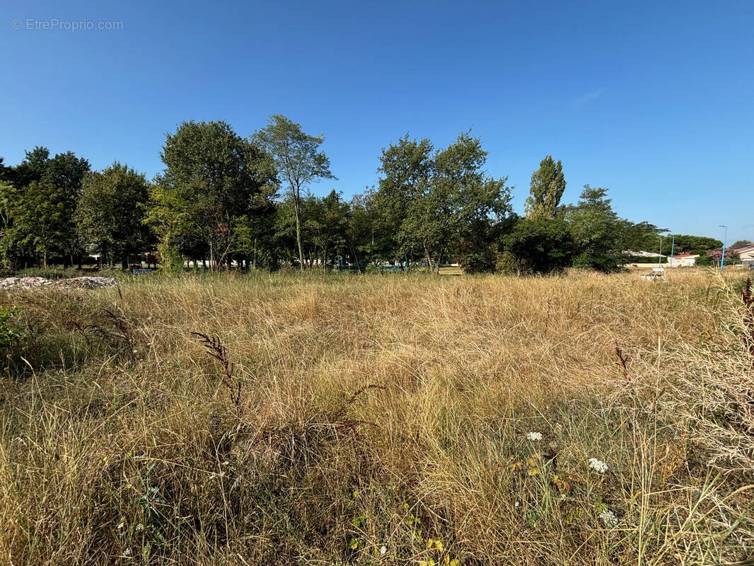 Terrain à BOE