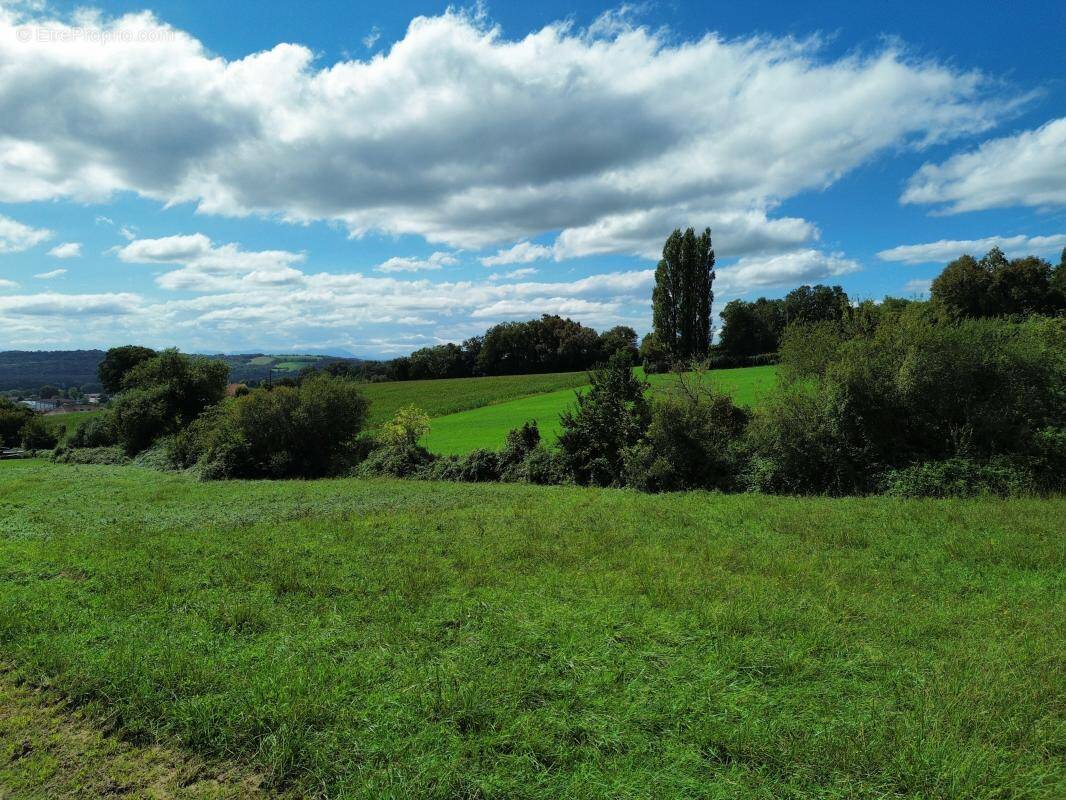 Terrain à SAUVETERRE-DE-BEARN