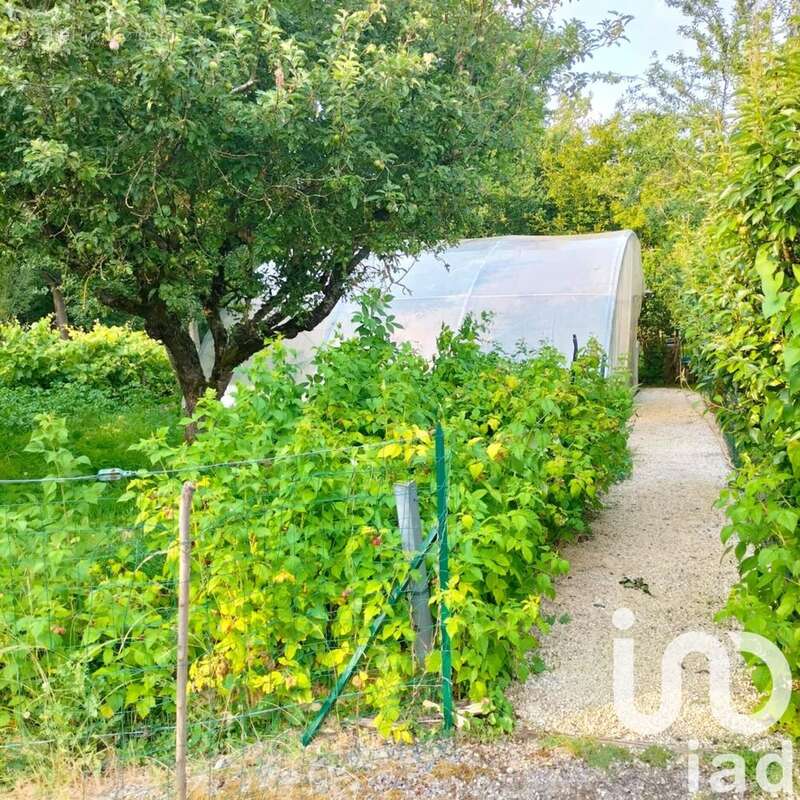 Photo 6 - Maison à APREMONT