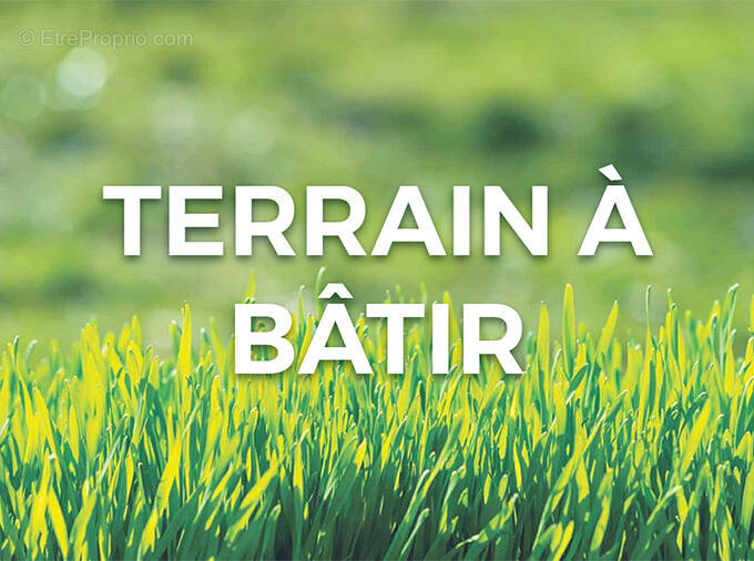 Terrain à BALIZAC
