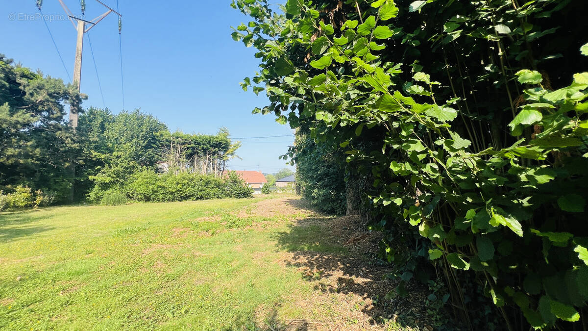 Terrain à VERCHAIN-MAUGRE
