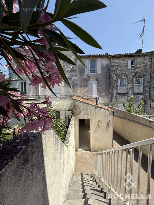 Vue maison arrière - Maison à SAINT-JEAN-D&#039;ANGELY