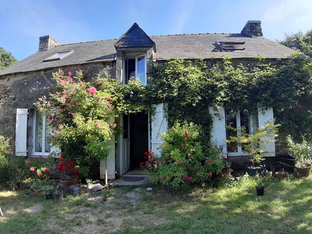 Maison à EDERN
