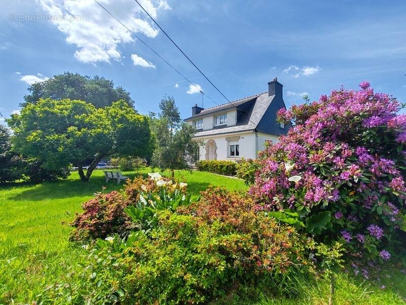 Maison à PLOUAY
