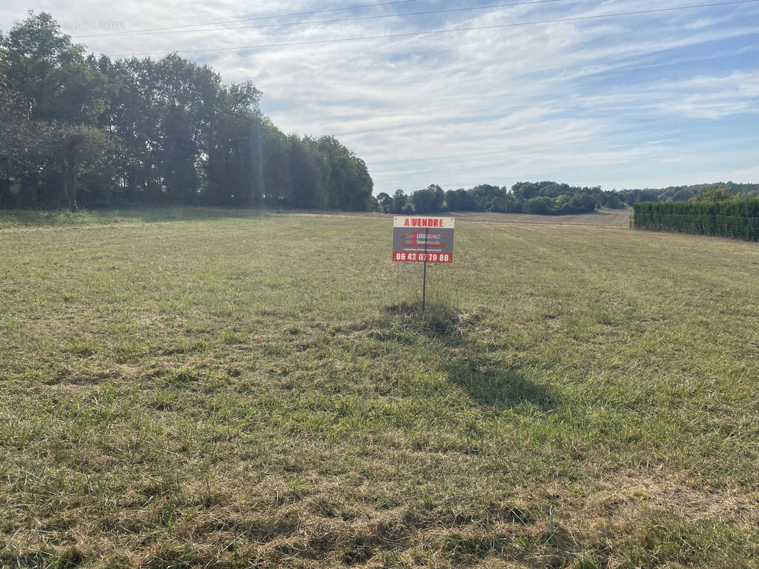 Terrain à SARLIAC-SUR-L&#039;ISLE