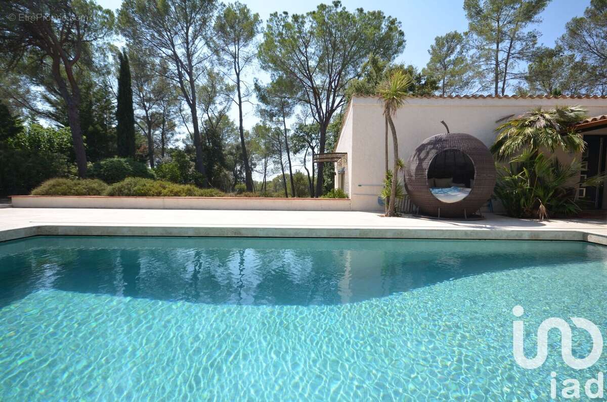 Photo 9 - Maison à PUGET-SUR-ARGENS