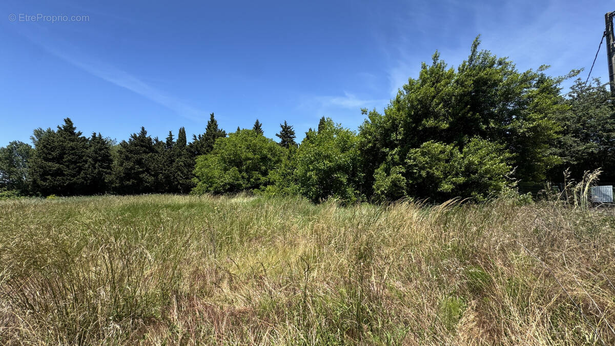 Terrain à COURTHEZON
