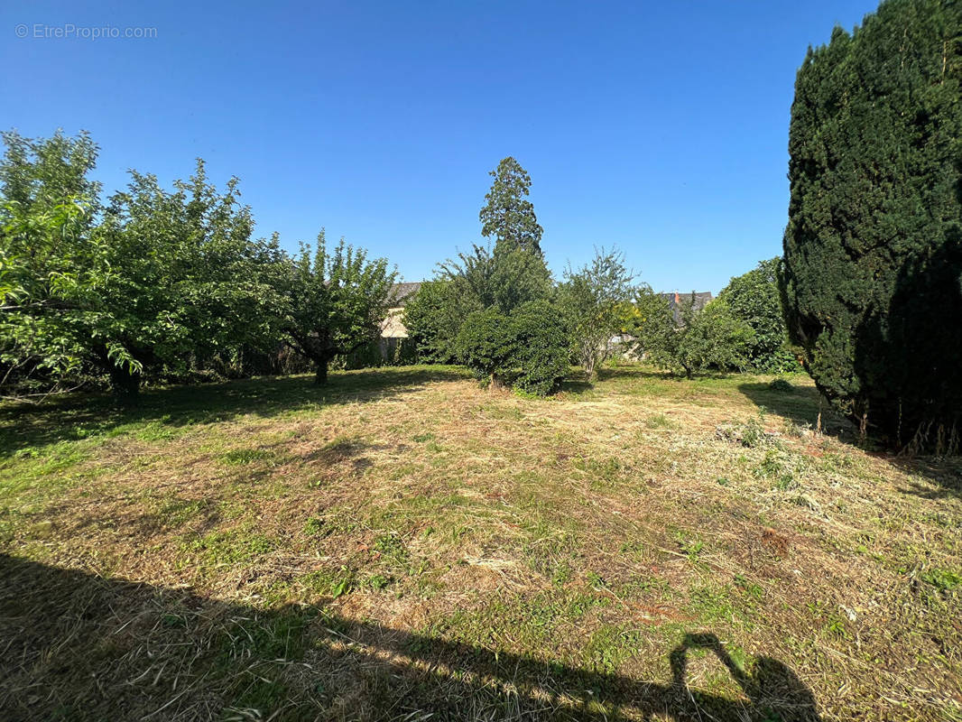 Terrain à SAINT-GENIEZ-D&#039;OLT