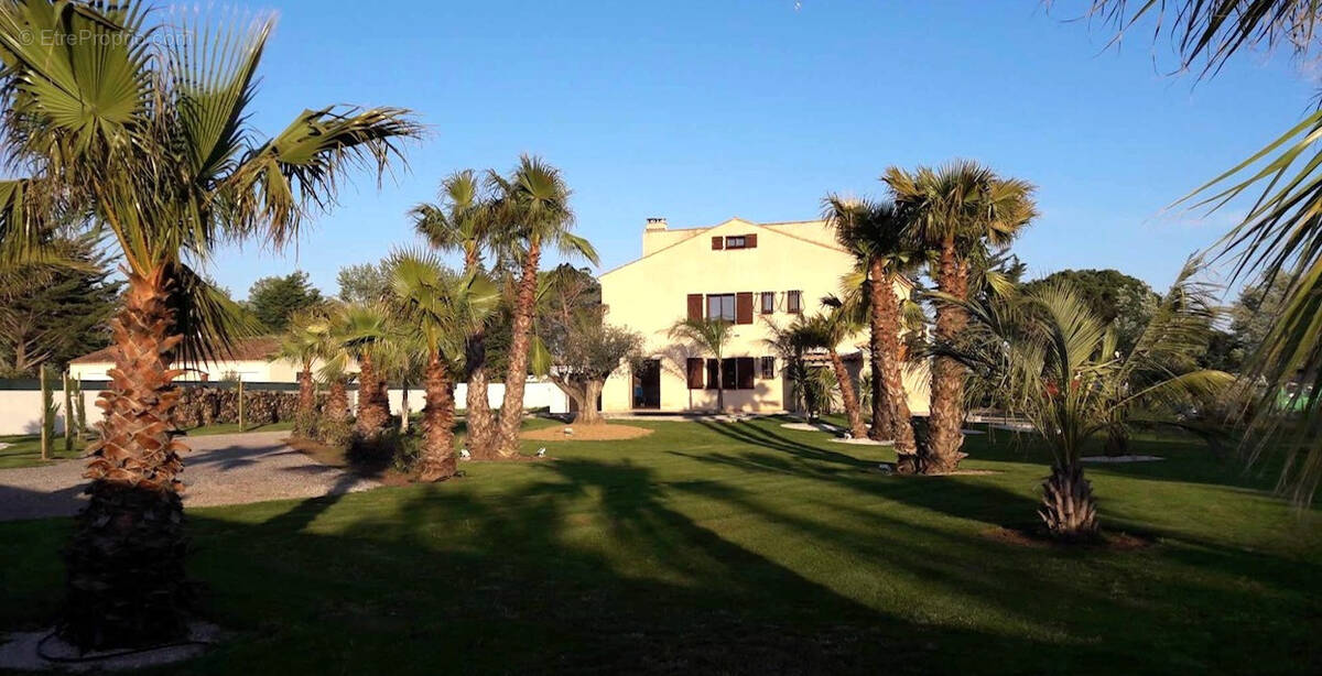 Maison à MARSEILLAN