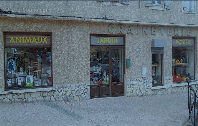 Commerce à ALES