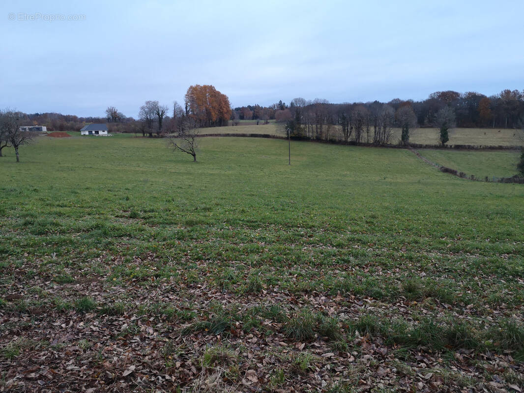 Terrain à SEILHAC