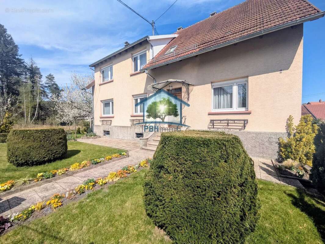 Maison à INGWILLER