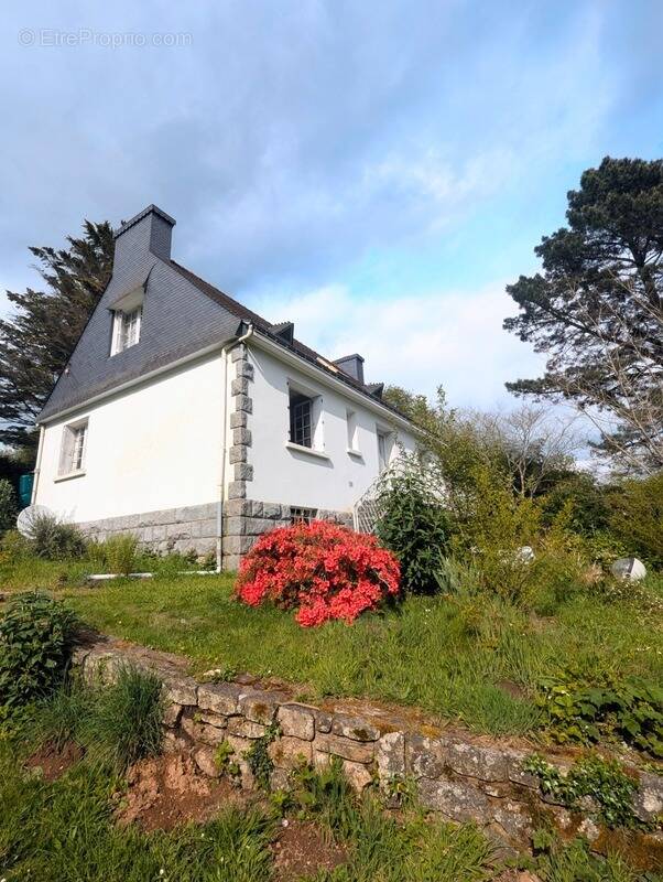 Maison à PLOUAY
