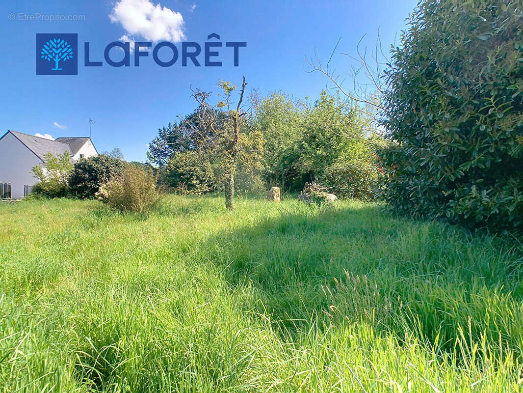 Terrain à LOCMALO
