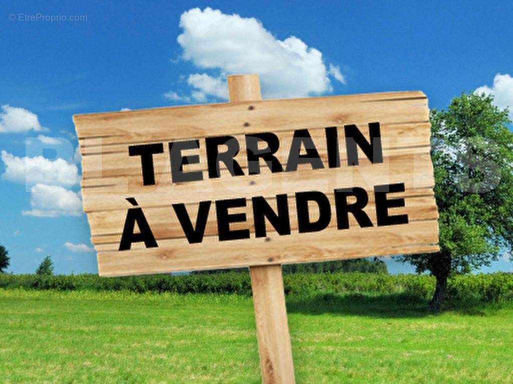 photo terrain - Terrain à SEDAN