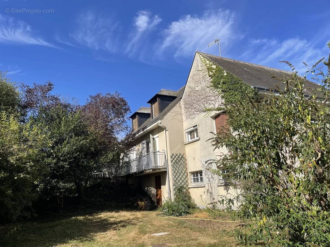 Maison à MONTREUIL-BELLAY