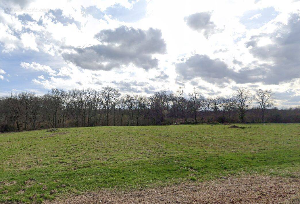 Terrain à LANGON