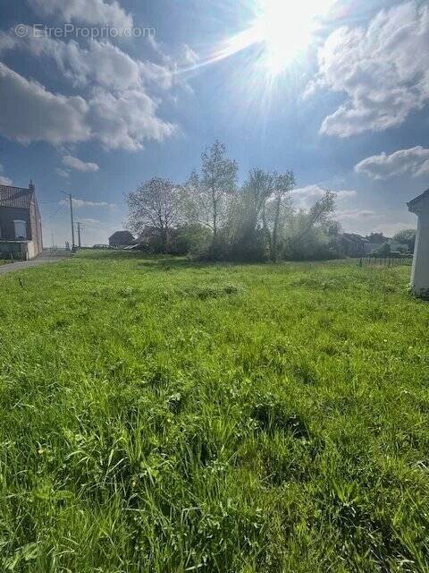 Terrain à BUSIGNY