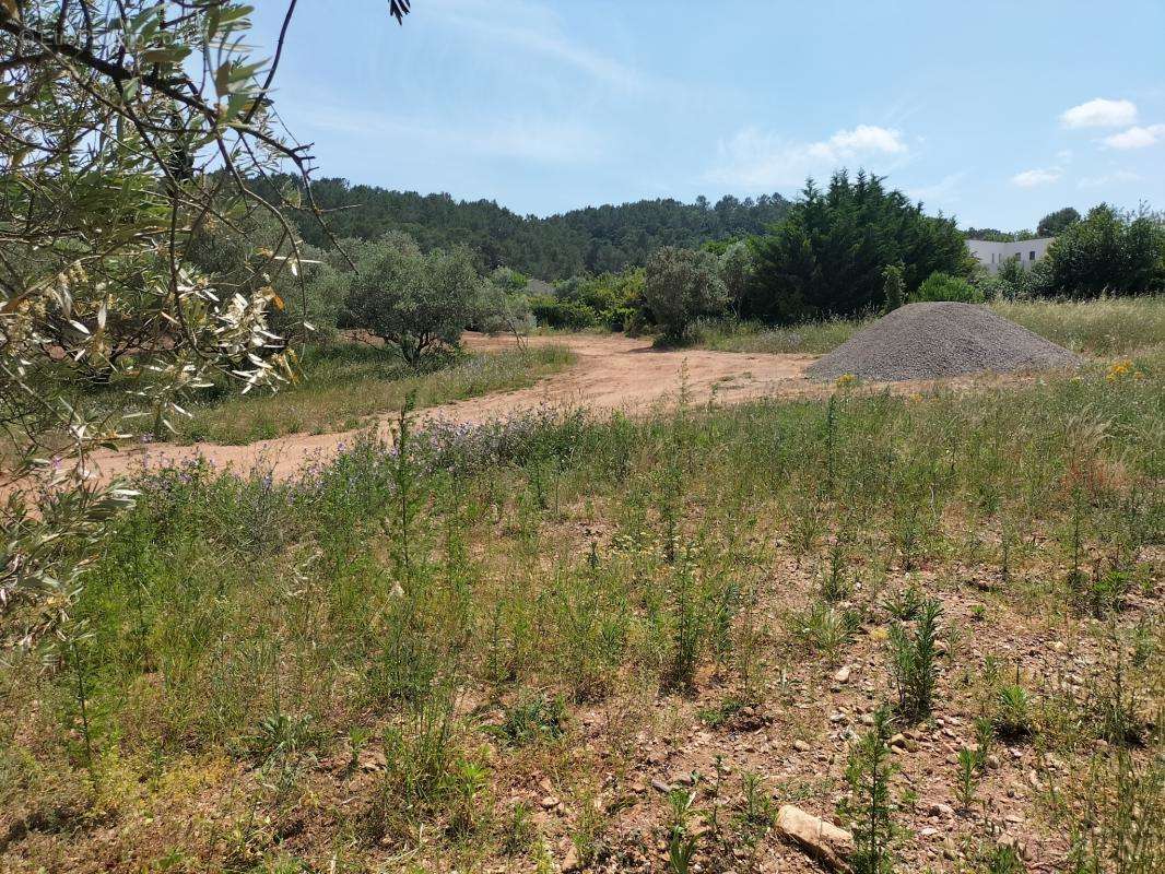 Terrain à CLERMONT-L&#039;HERAULT