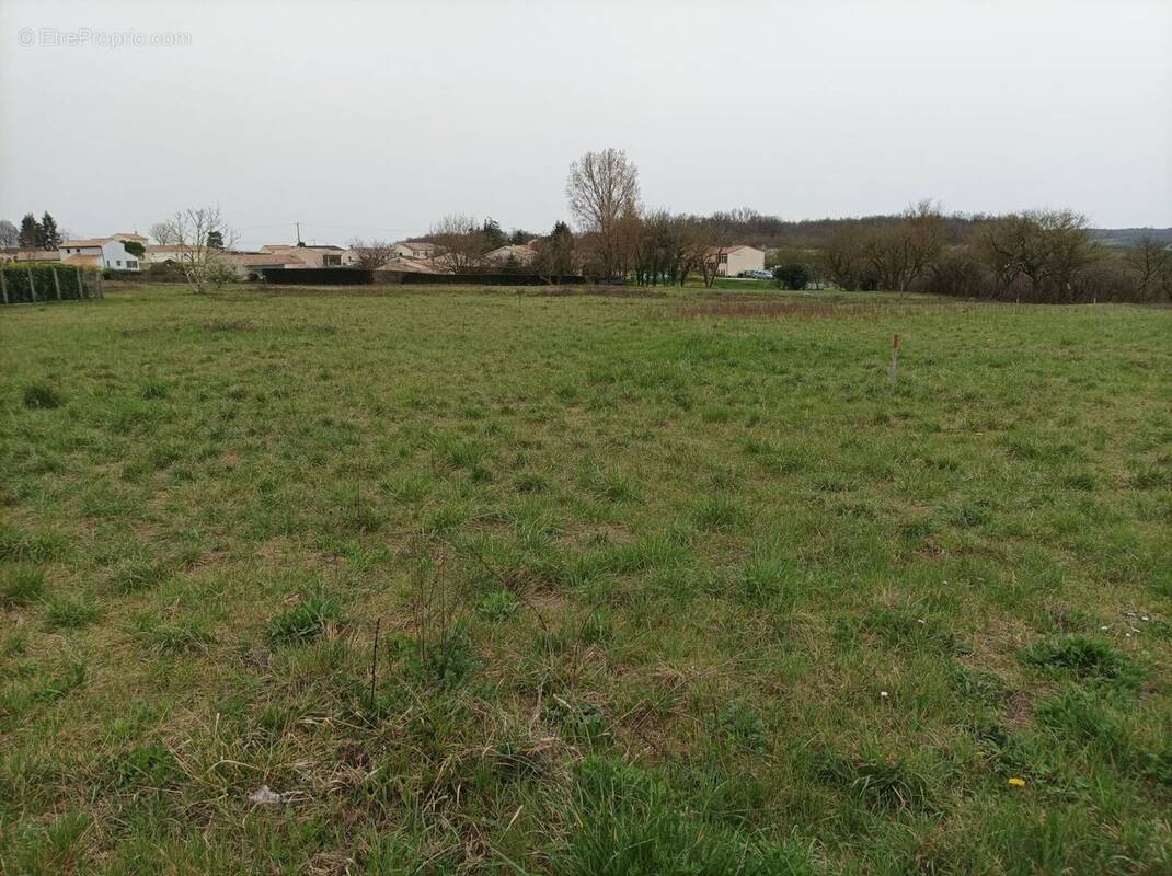 Terrain à SIREUIL