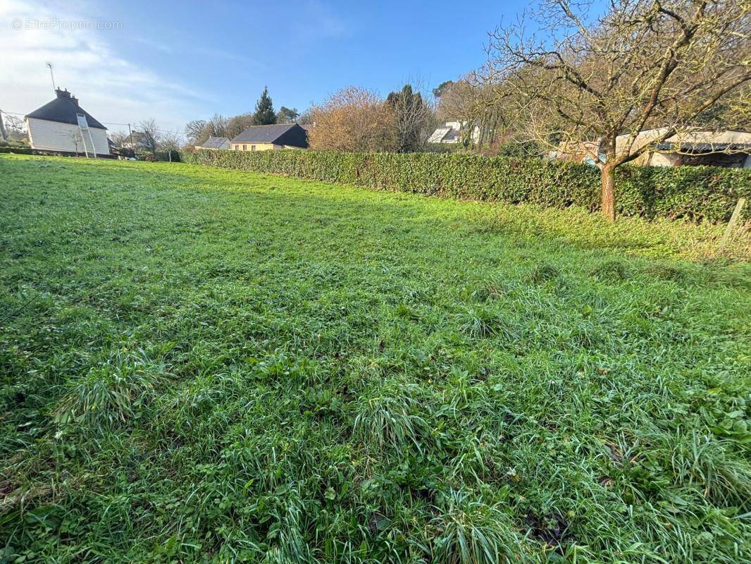 Terrain à REDON