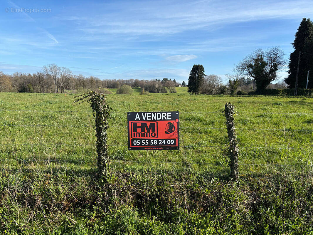 Terrain à SAINT-YRIEIX-LA-PERCHE