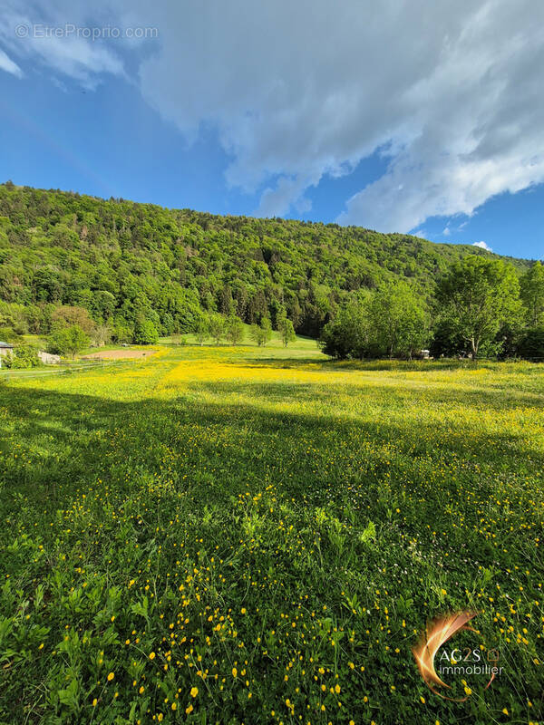 Terrain à SAINT-PIERRE-DE-SOUCY