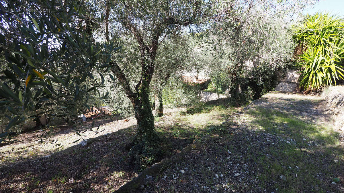 Terrain à EZE