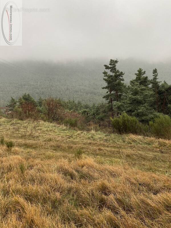 Terrain à SERANON