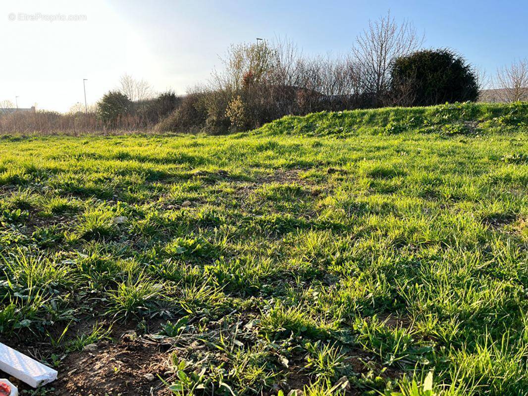 Terrain à FALAISE