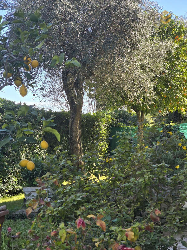Maison à GORBIO