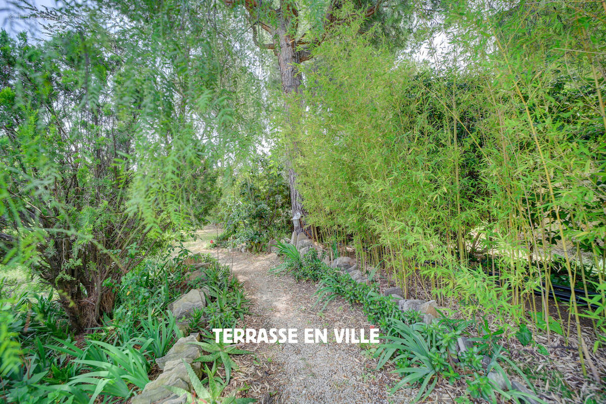 Terrain à LA CIOTAT