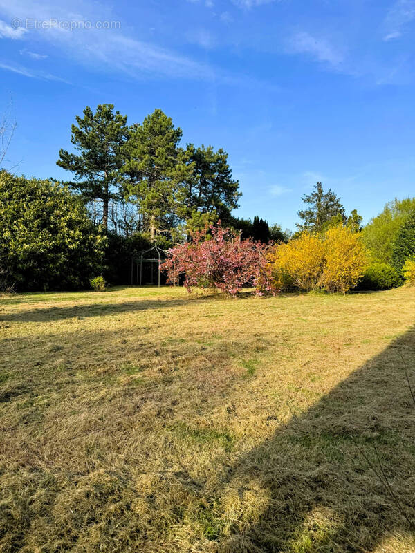 Terrain à MEZY-SUR-SEINE