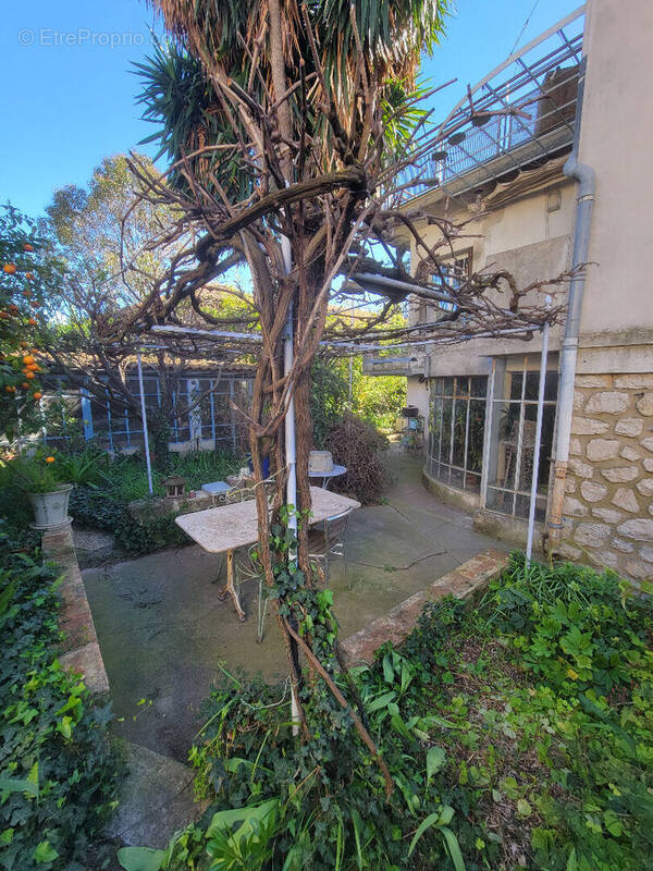 Maison à MONTPELLIER
