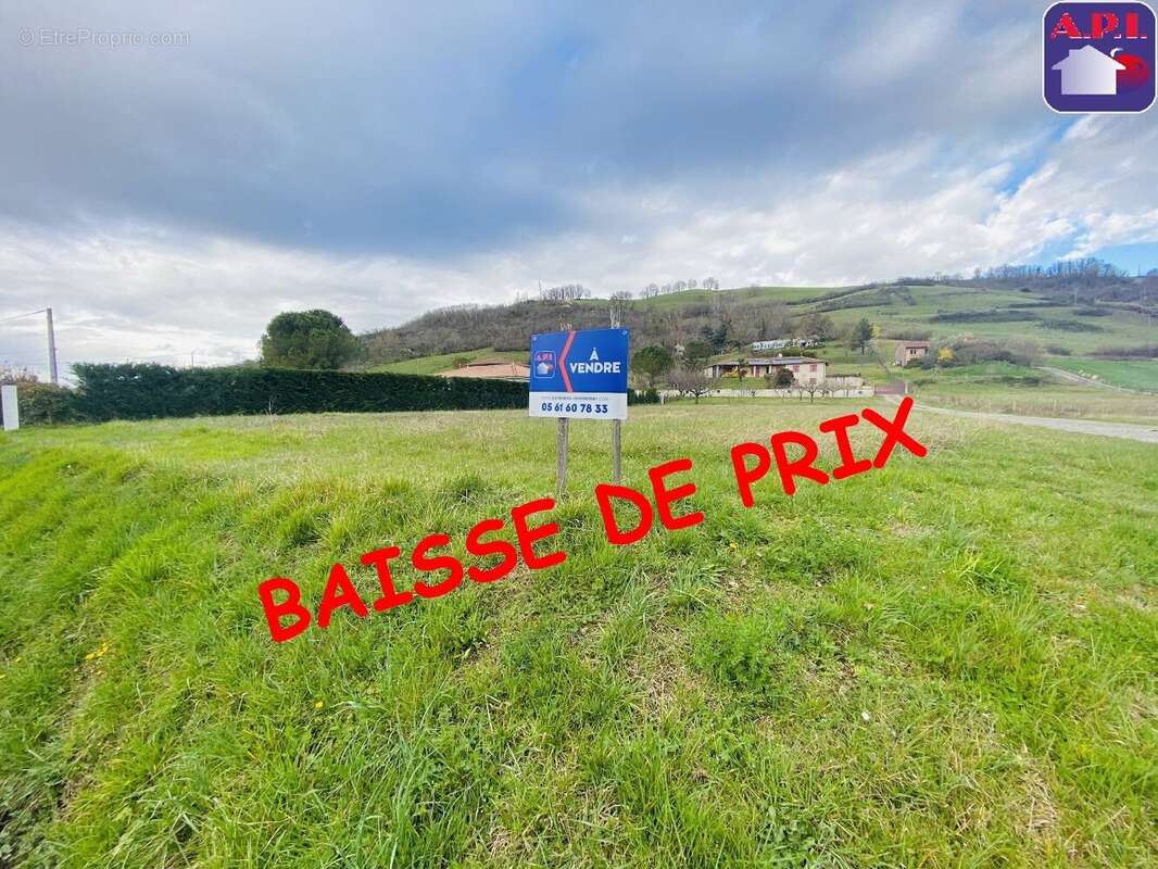 Terrain à DAUMAZAN-SUR-ARIZE