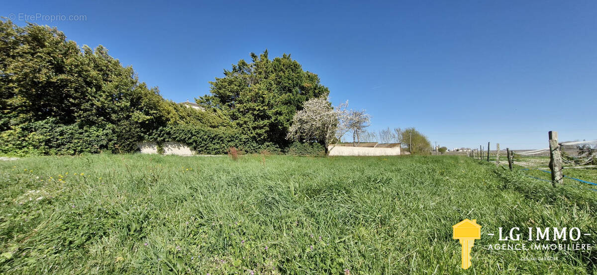 Terrain à MORTAGNE-SUR-GIRONDE