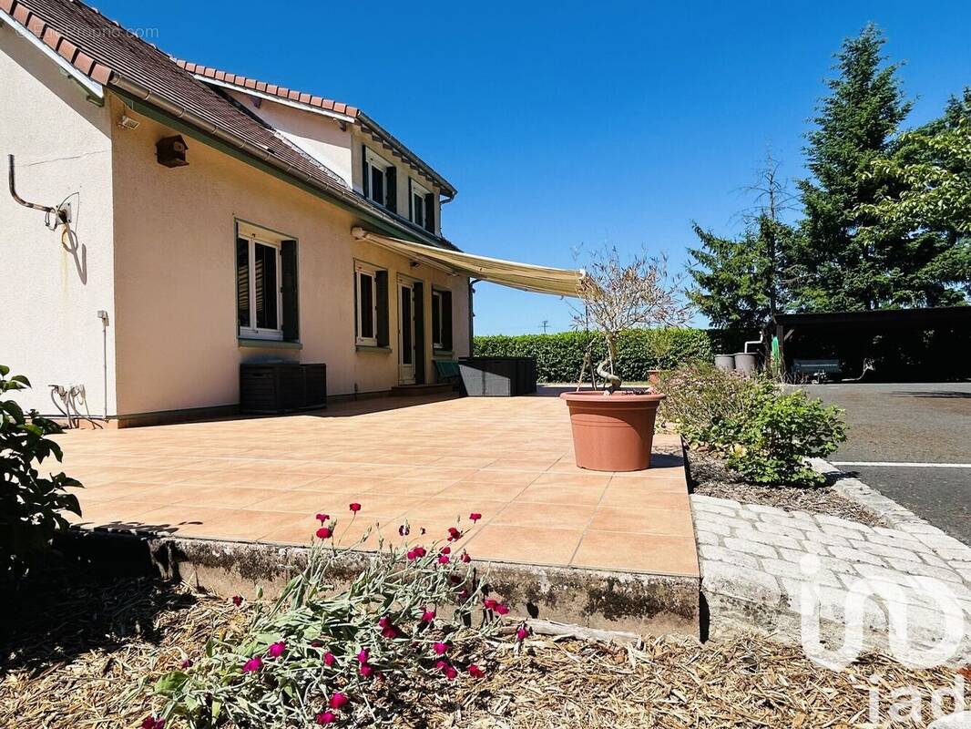 Photo 1 - Maison à BRAY-EN-VAL
