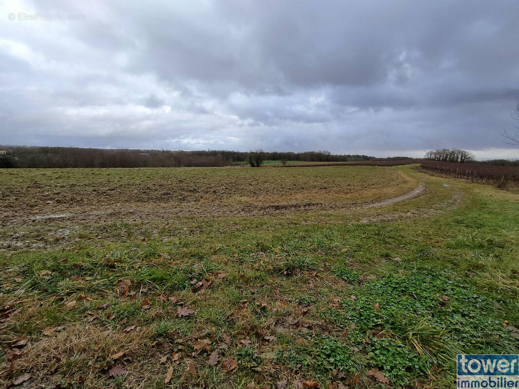 Terrain à GAILLAC