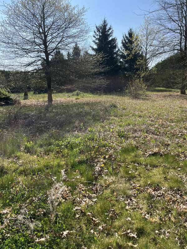 Terrain à EGREVILLE