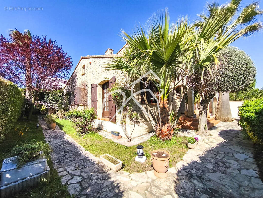 Maison à MONTPELLIER