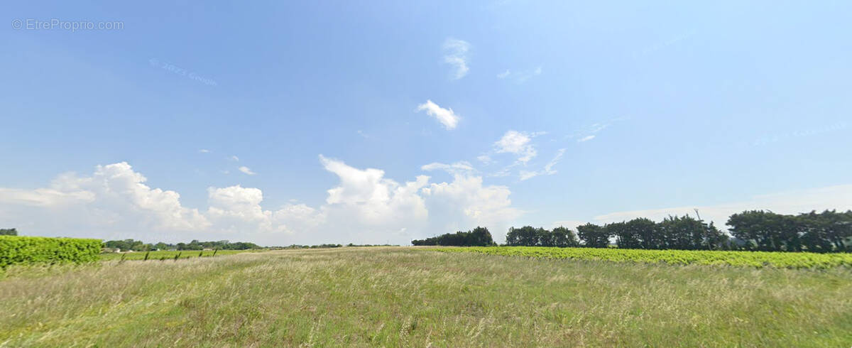 Terrain à BOLLENE