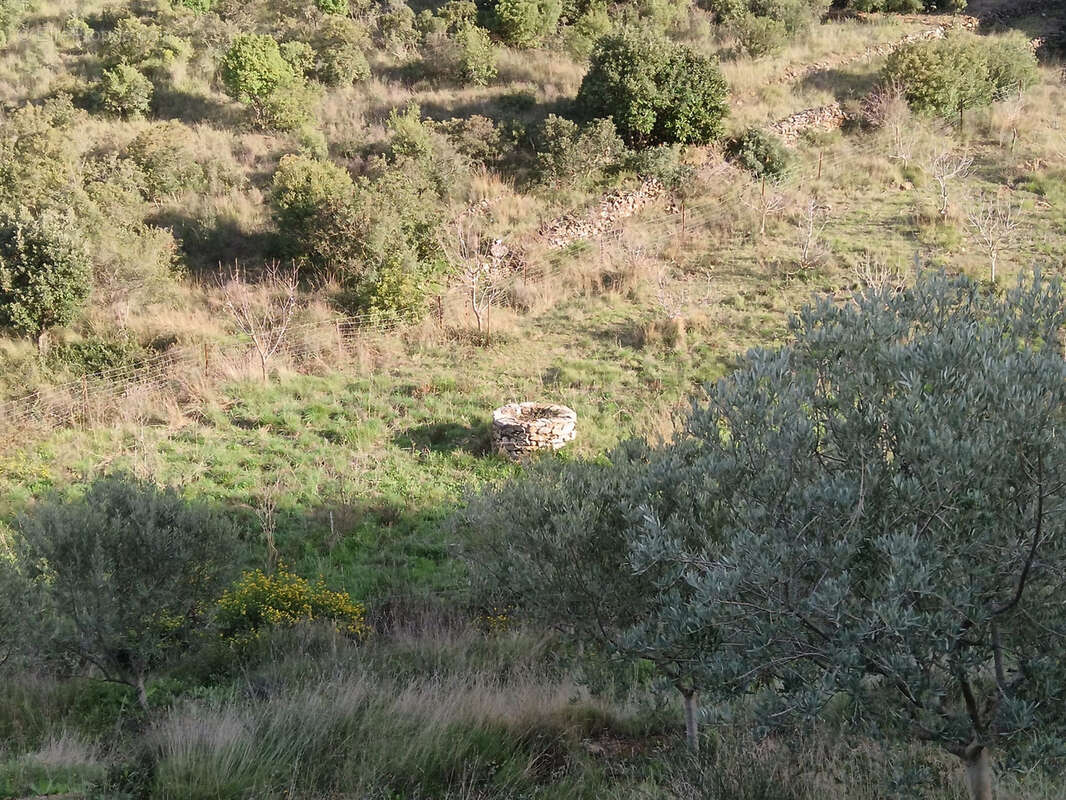 Autre à SAINT-NAZAIRE-DE-LADAREZ
