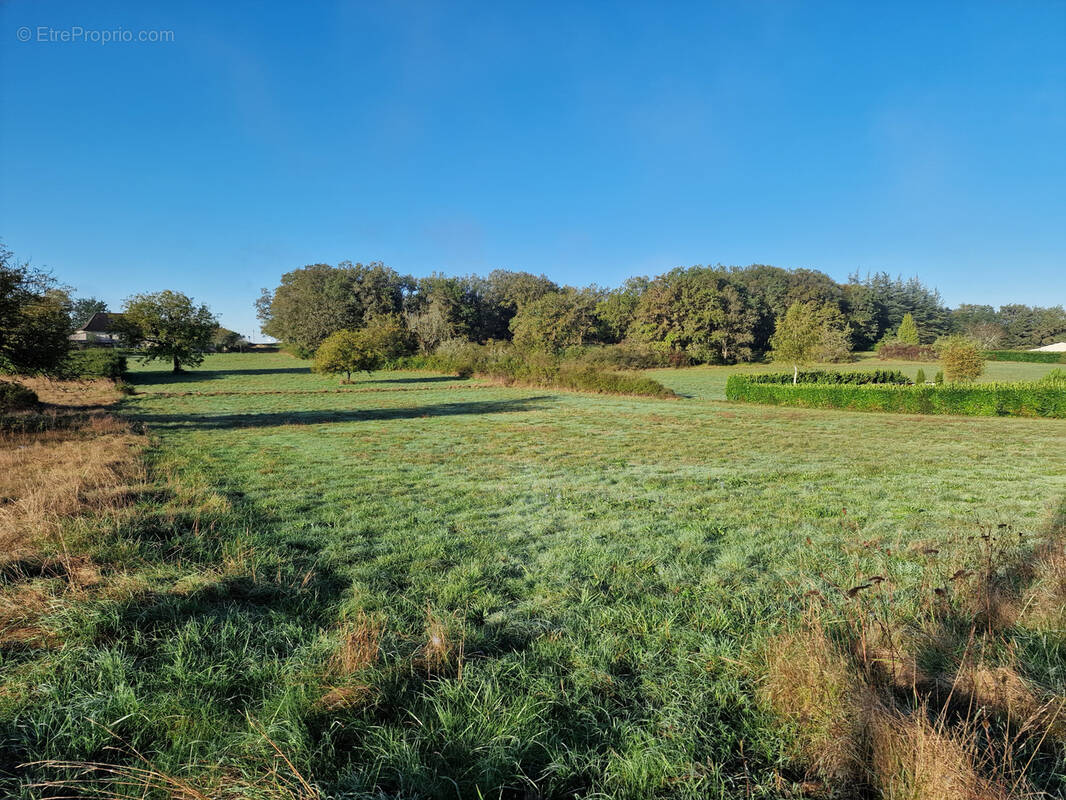Terrain à NADAILLAC