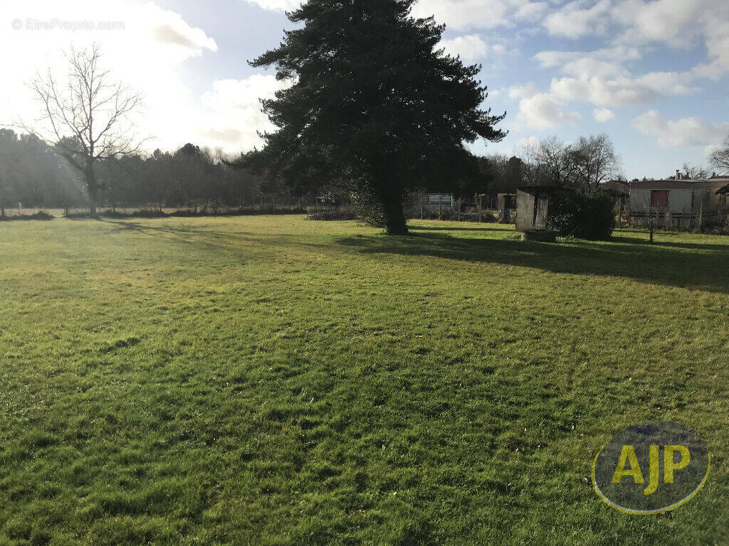 Terrain à LESPARRE-MEDOC