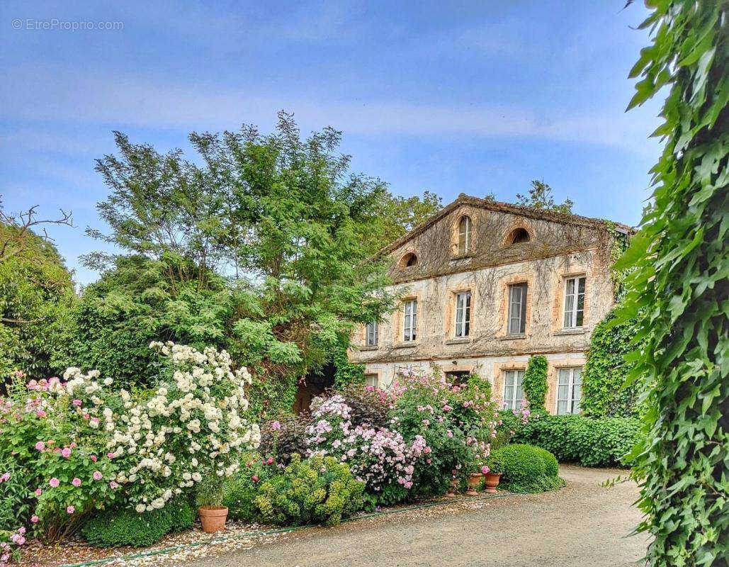 Maison à MURET