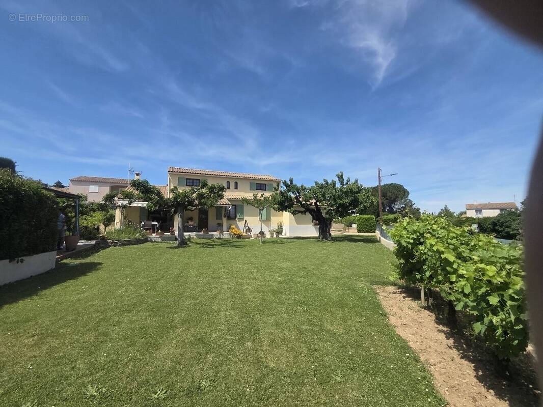 Maison à BEZOUCE